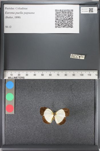 Media type: image;   Entomology 122884